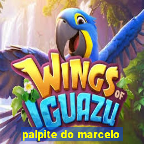 palpite do marcelo